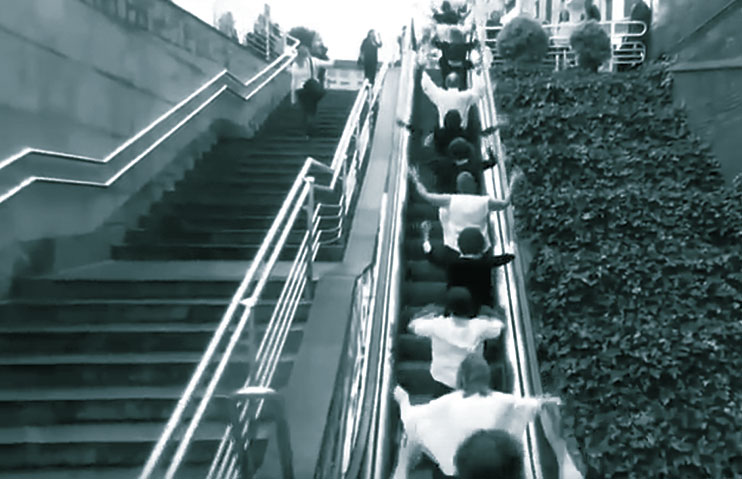 Los #CaminoAcieloabierto a lo largo de la Red